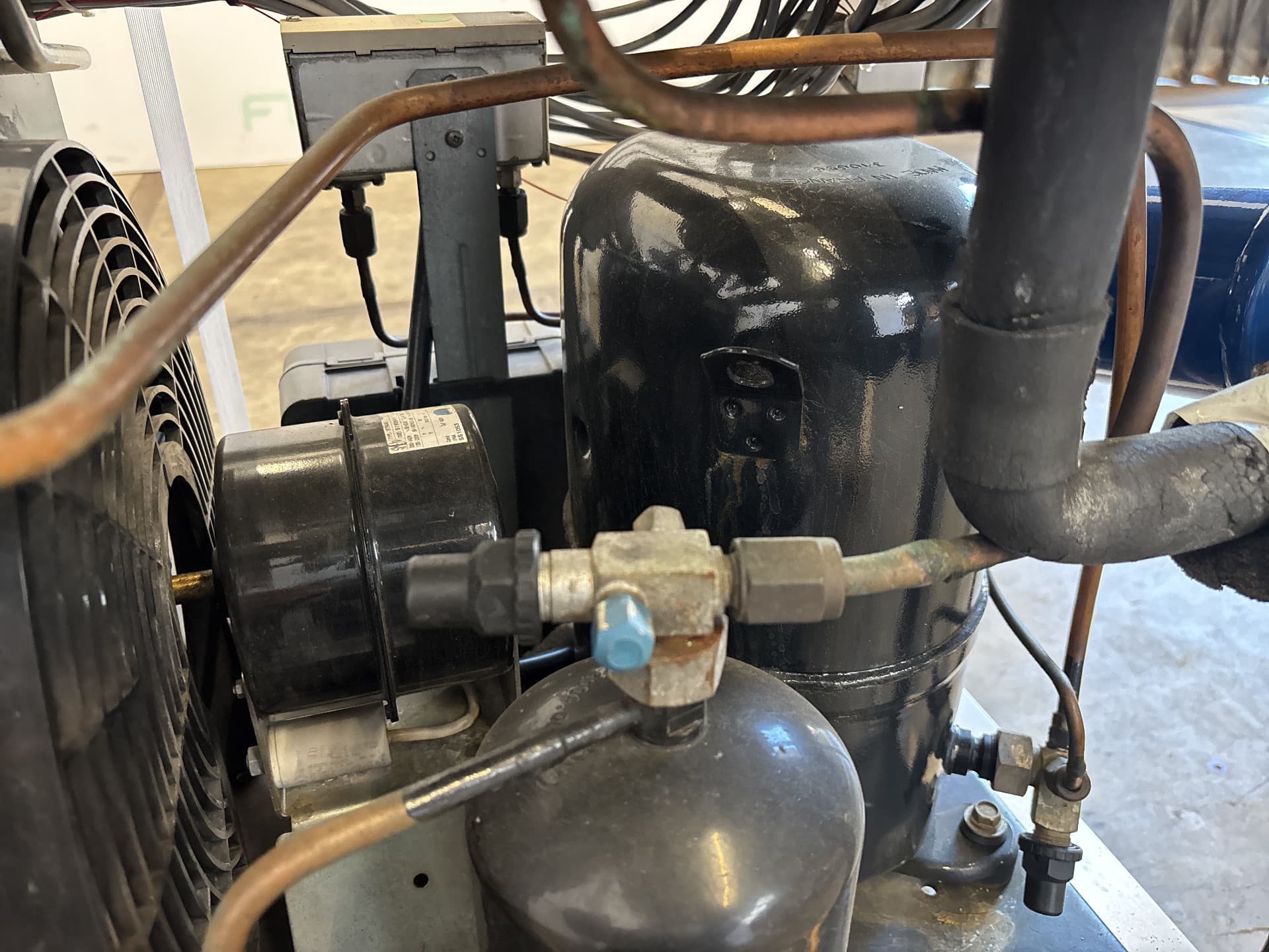 Zirbus VTS-300 - Essiccatore a congelamento - image 16