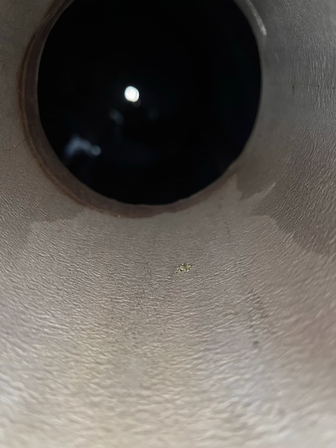 Coti Alme 3200 Ltr - Реактор из нержавеющей стали - image 7